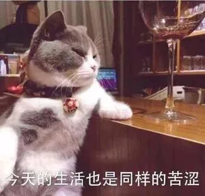 今天的生活还是同样苦涩